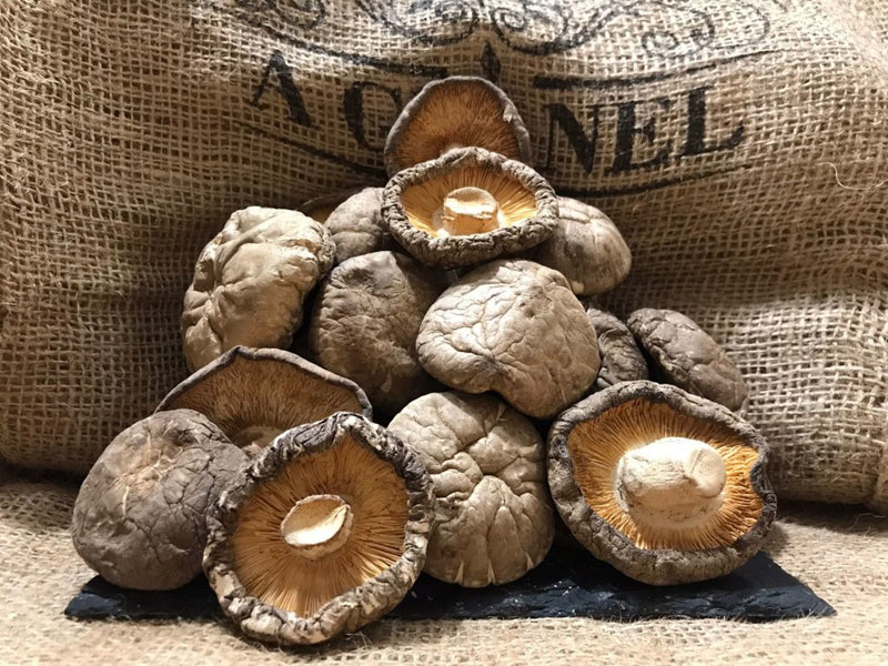 Setas Shiitake a Granel en Madrid