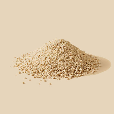 Caldo de pescado (vegano)