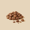 Castaña pilonga