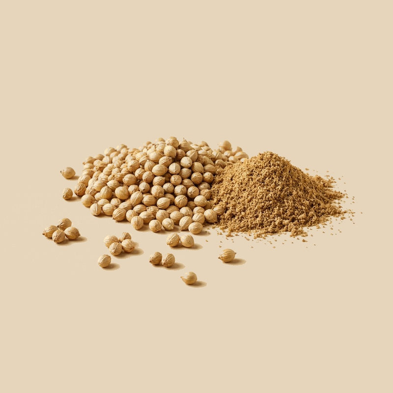 Cilantro en grano a granel - A Granel Madrid