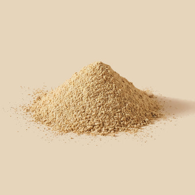 Cilantro molido
