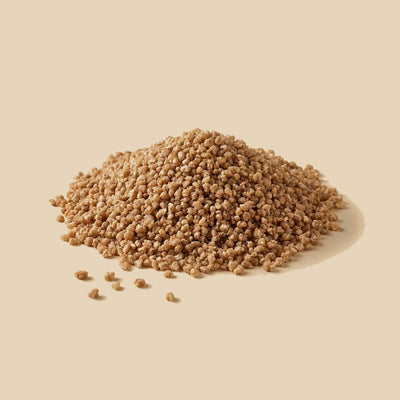 Cous Cous Integral (Ecológico)