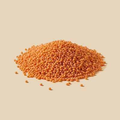 Cous Cous de Lenteja Roja (Ecológico)