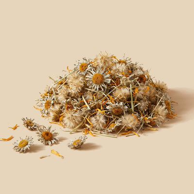 Flor de Árnica