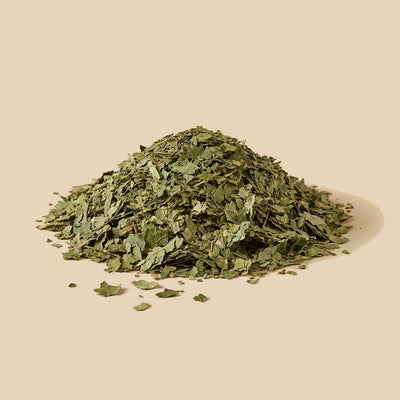 Hoja Cortada de Abedul