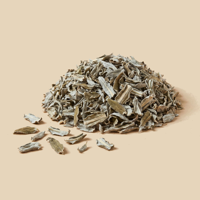 Hoja Cortada de Alcachofa