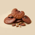 Setas Reishi