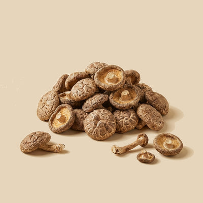 Setas Shiitake