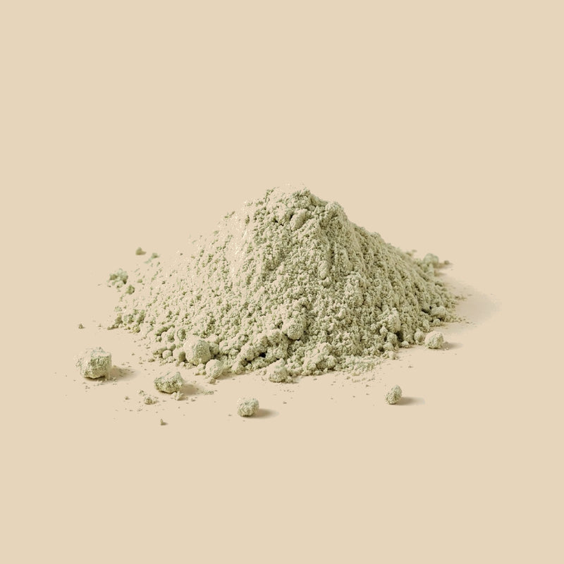 Stevia Molida