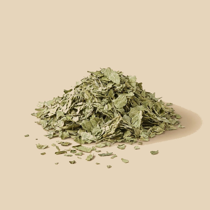 Té de Java (Ortosifón) a granel - A Granel Madrid