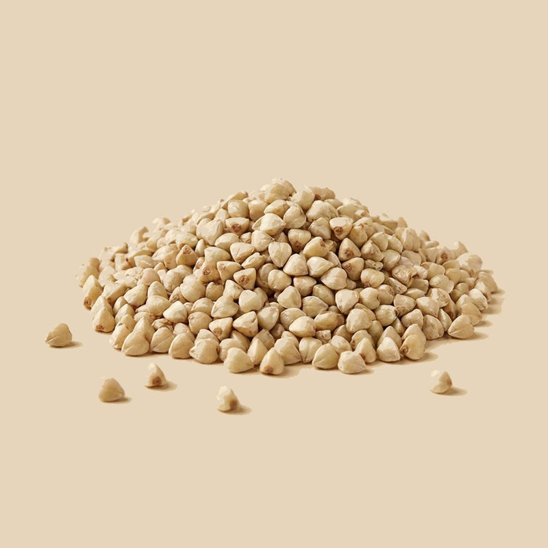 trigo-sarraceno-grano