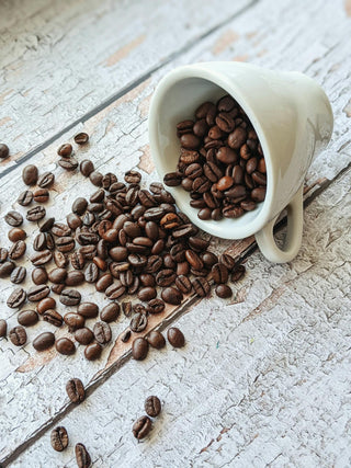 Cómo elegir un buen café a granel: guía práctica para no equivocarse