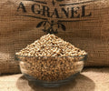 Cilantro en grano