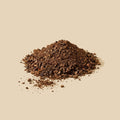Castaño de Indias