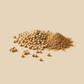 Cilantro en grano