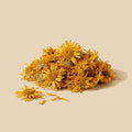 Flor de Árnica