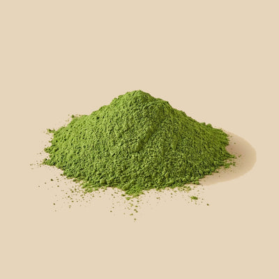 Hierba de Trigo Verde (ecológica)