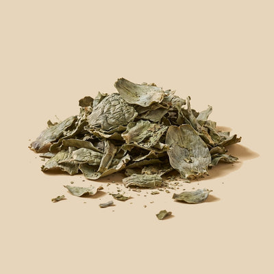 Hoja Cortada de Alcachofa