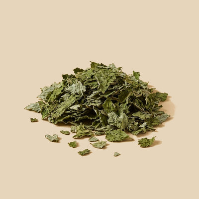 Hojas de Frambuesa