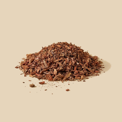 Sanguinaria