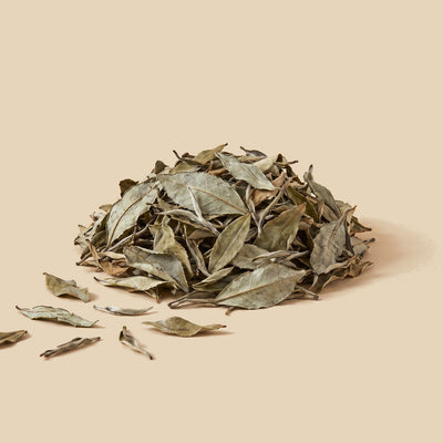 Té Blanco Pai Mu Tan