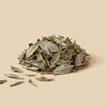 Té Blanco Pai Mu Tan