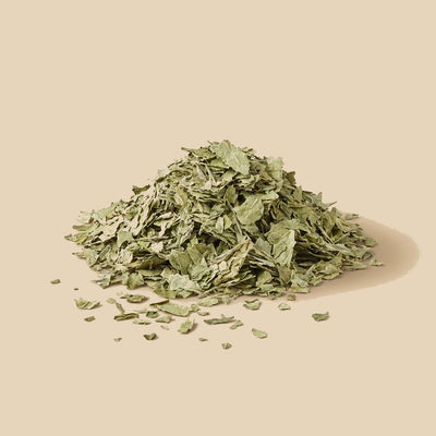 Té de Java (Ortosifón)